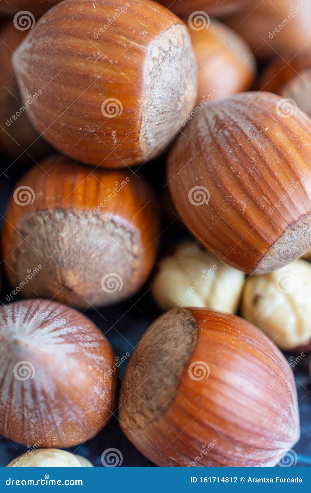 Macro Closeup of Whole and Peeled Hazelnuts Stock Photo Image of