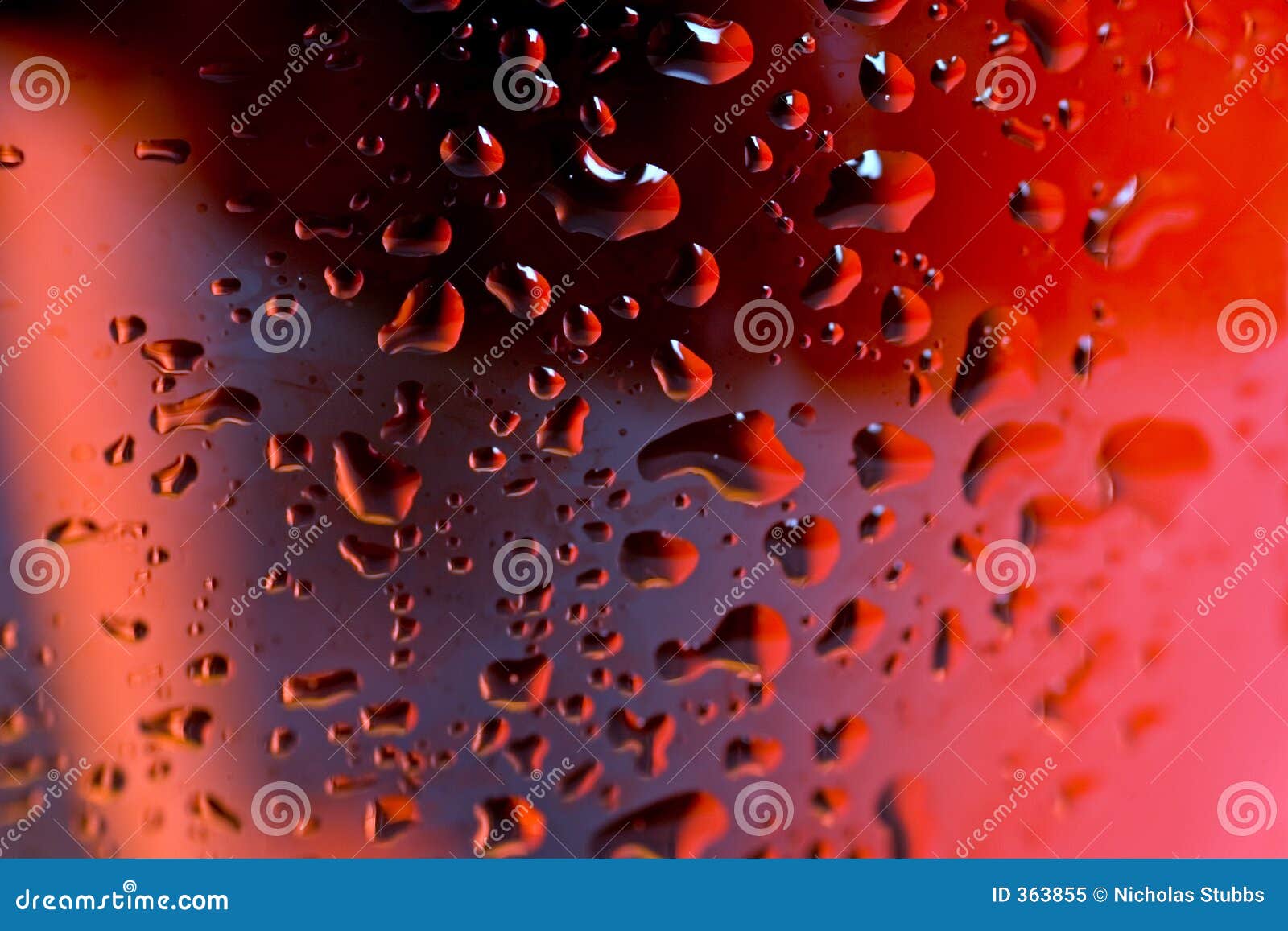 Macro Close Up Wine Glass and Red or Rose Wine Stock Image Image of color, colour 363855