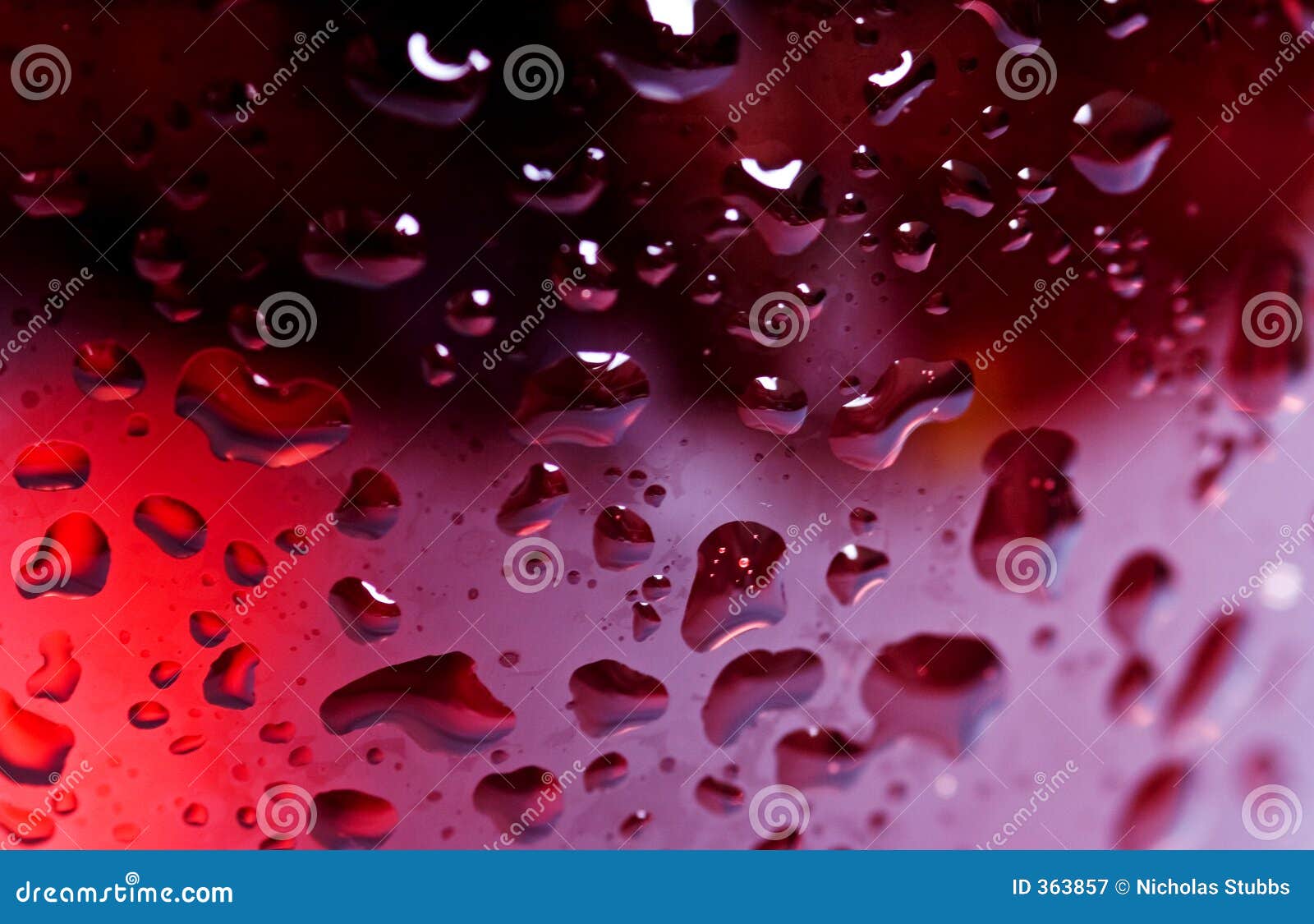 Macro Close Up Wine Glass and Red or Rose Wine Stock Image Image of orange, wine 363857