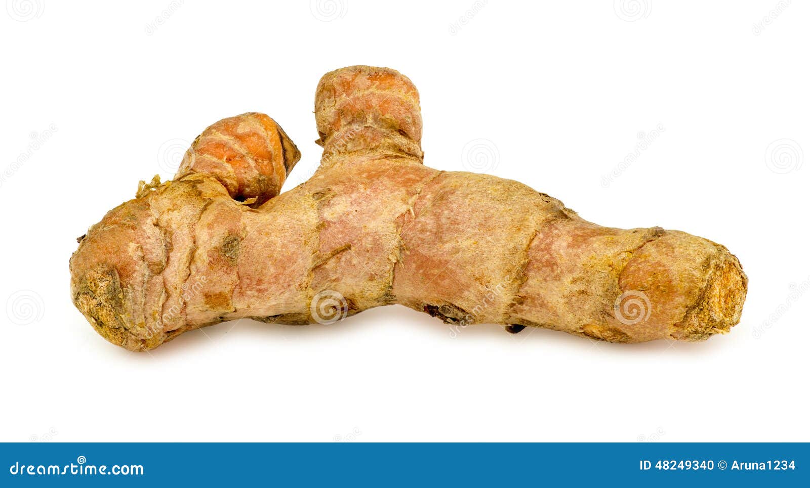 Macro Closeup of Fresh Turmeric Root Plant Stock Photo Image of