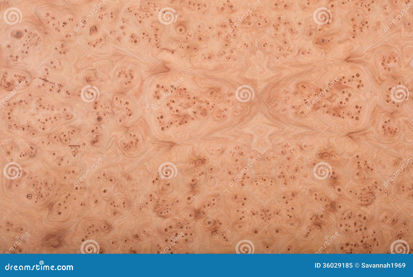 Tranciato / Impiallacciatura Naturale Tinta Per Intarsio - Blue Collection