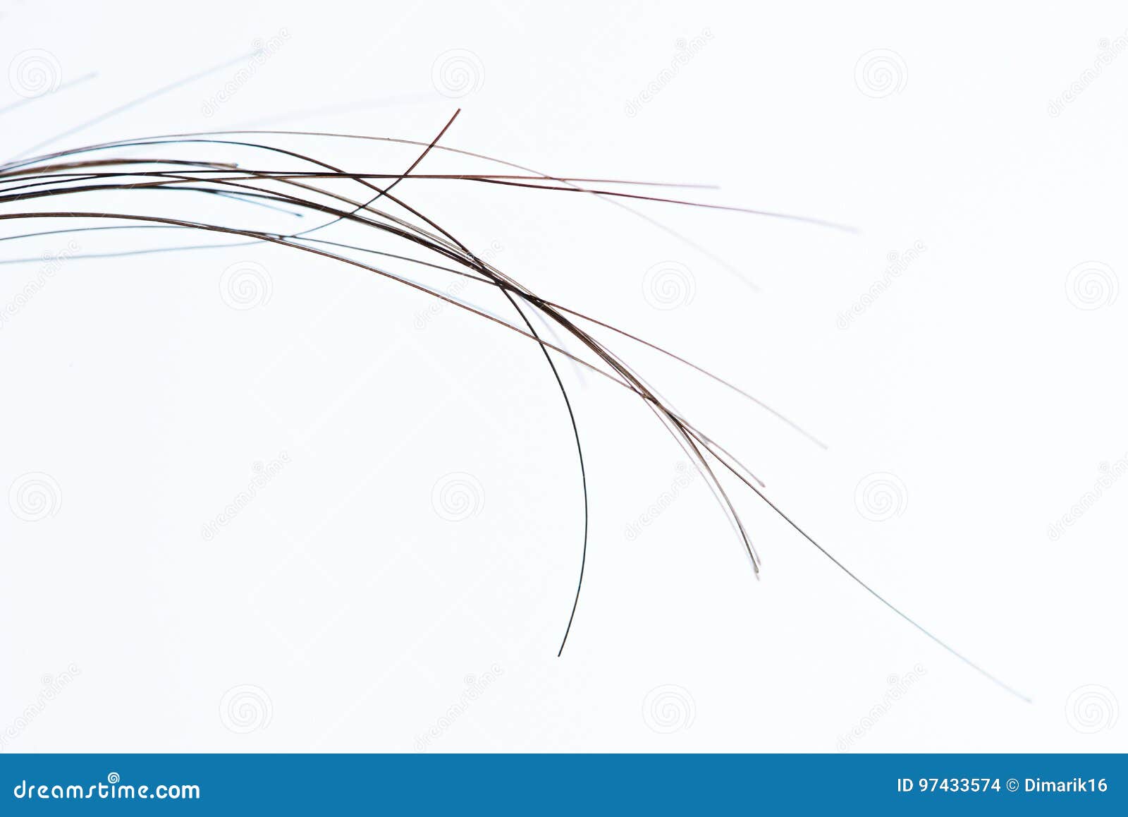 Macro Of Human Dark Hair Stock Photo Image Of Hairstyle 97433574