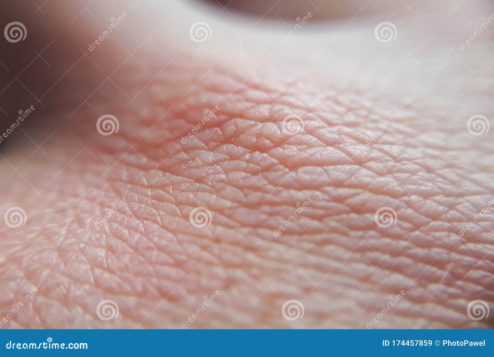Macro Human Skin Close Up Background Stock Image Image Of Clean