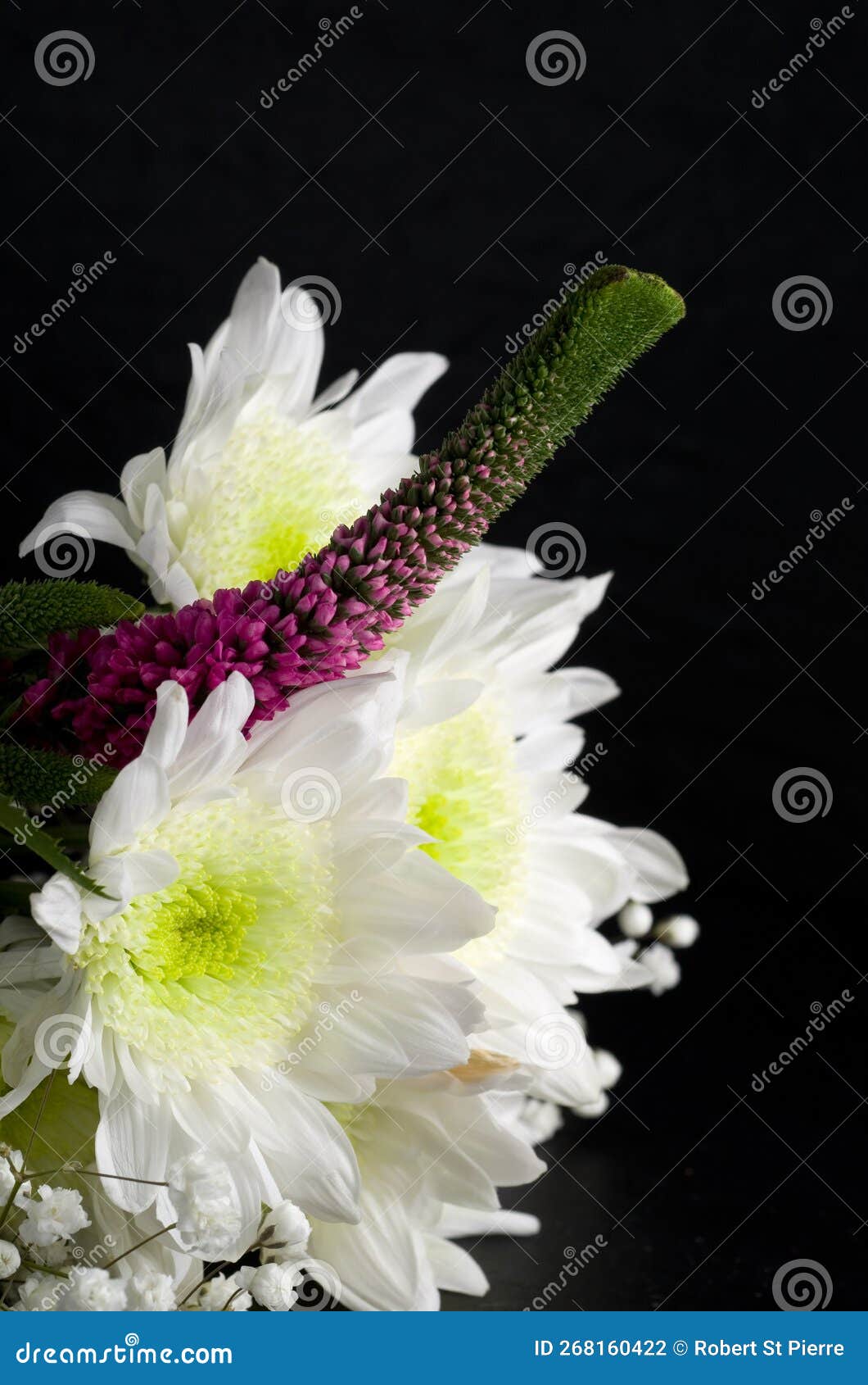 Macro Image of Beautiful Purple and White Flower Bouquet Stock Photo