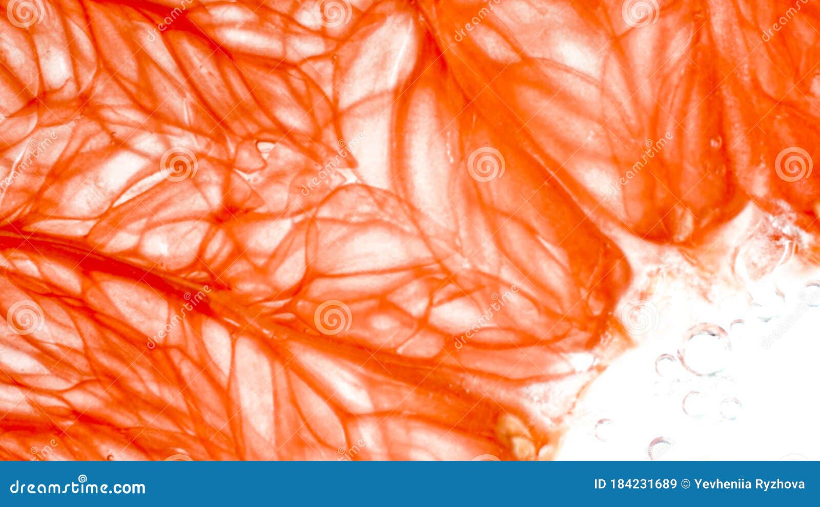 Macro Photo of Orange Pulp Structure. Pulp and Juice of Grapefruit Over