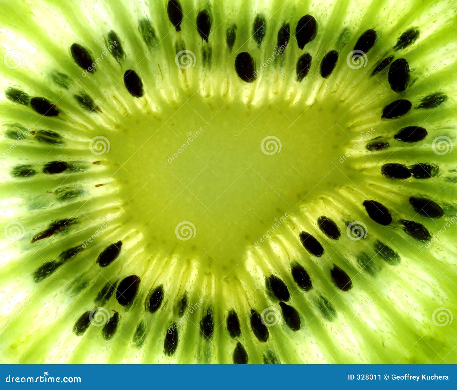 macro kiwi fruit center