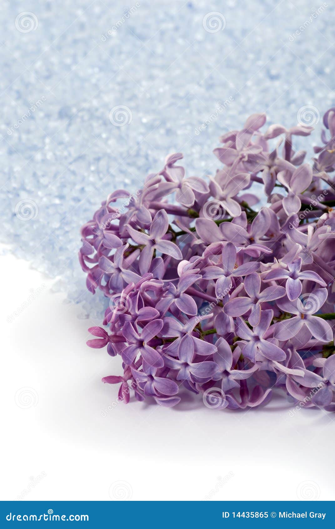 Macro Lilac Bath Salt and Flowers Stock Image Image of herb, background 14435865