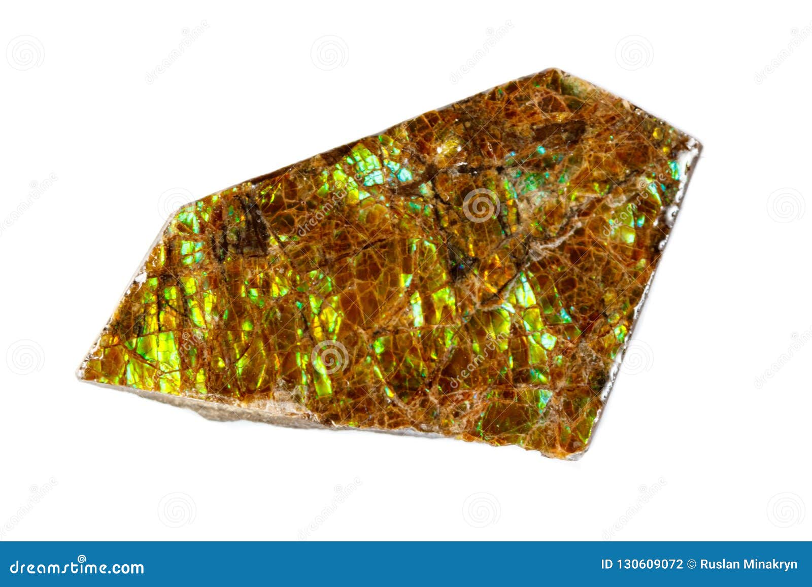 macro of the mineral stone ammolite on white background