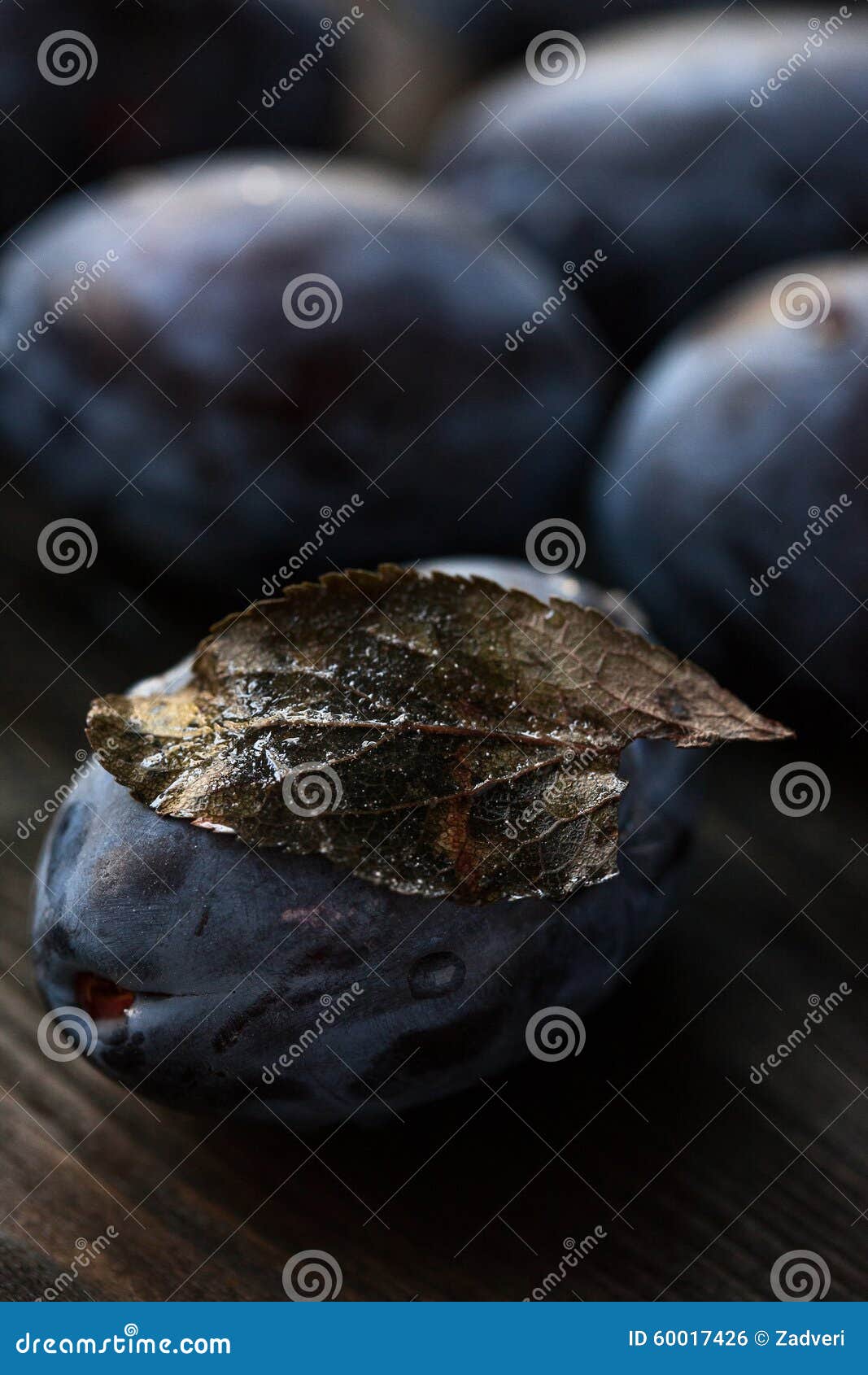 Macro Photo Blue Plum with a Dry Leaf Stock Photo Image of fruit, agriculture 60017426