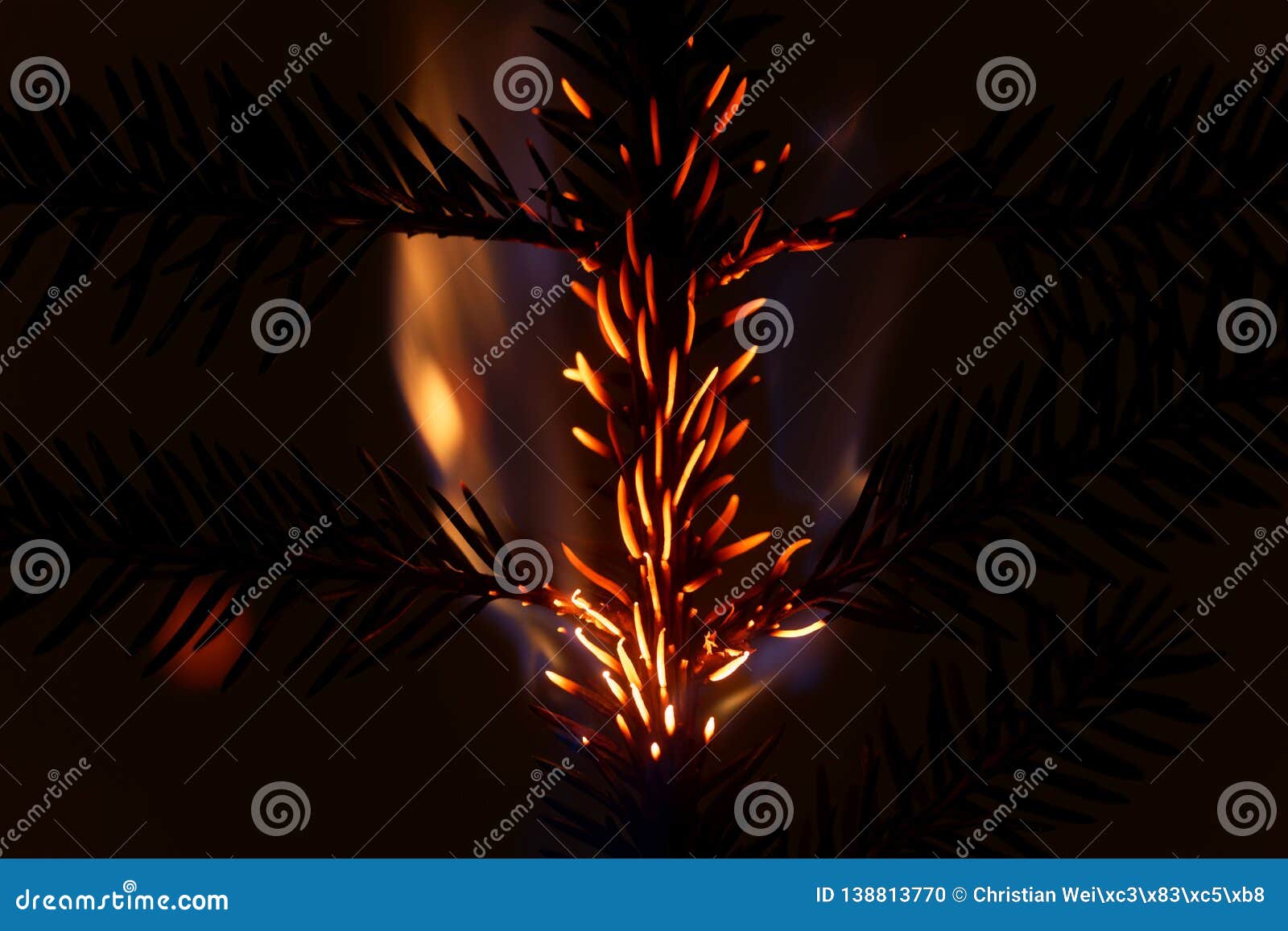 Burning and Glowing Pine Needles with a Dark Background Stock Photo