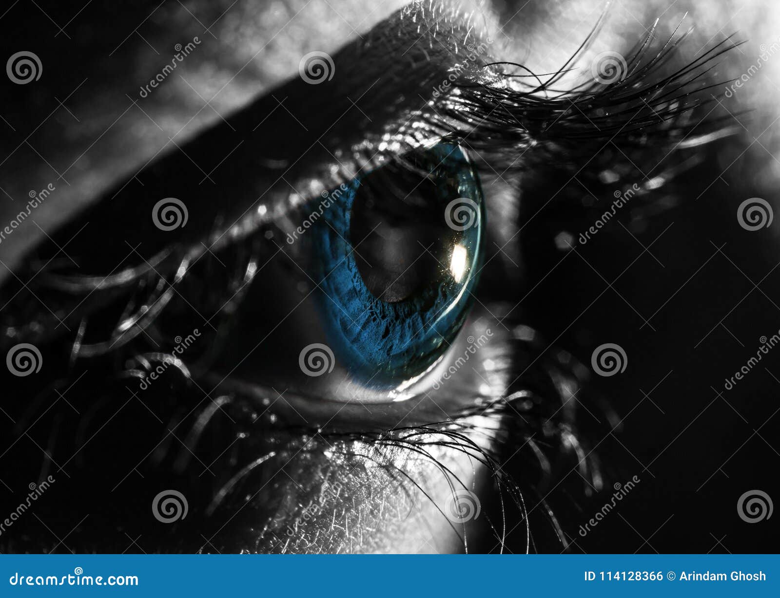 Macro Photo of Close Up Shot of Blue Eye. Black and White Selective ...