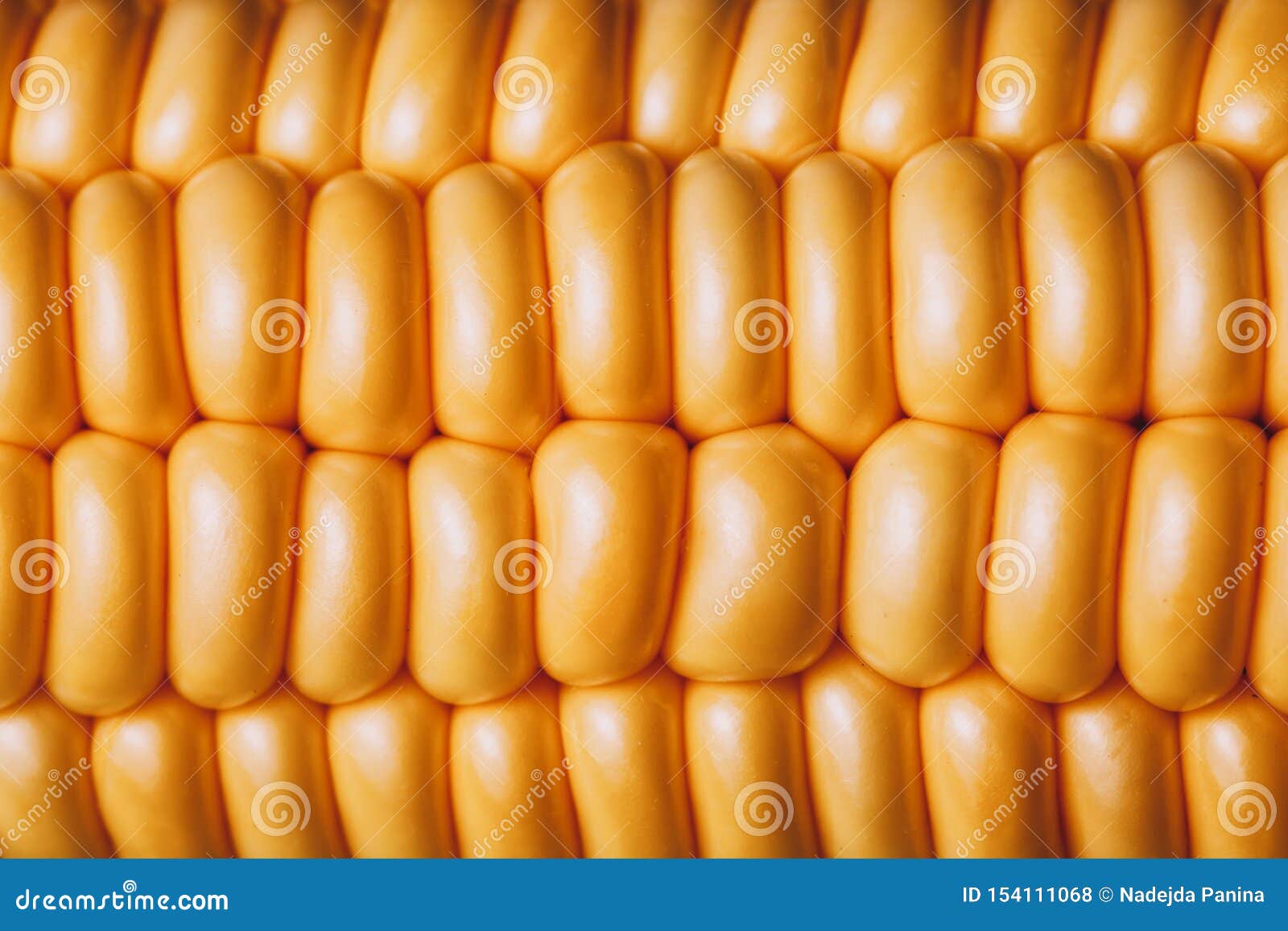 Macro Photo of Corn on the Cob. Yellow Seeds Nature Pattern Stock Photo