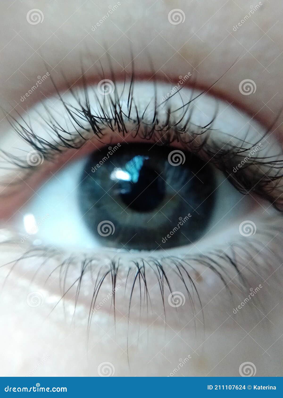 Macro photo of eye stock photo. Image of pupil, eyelashes 211107624