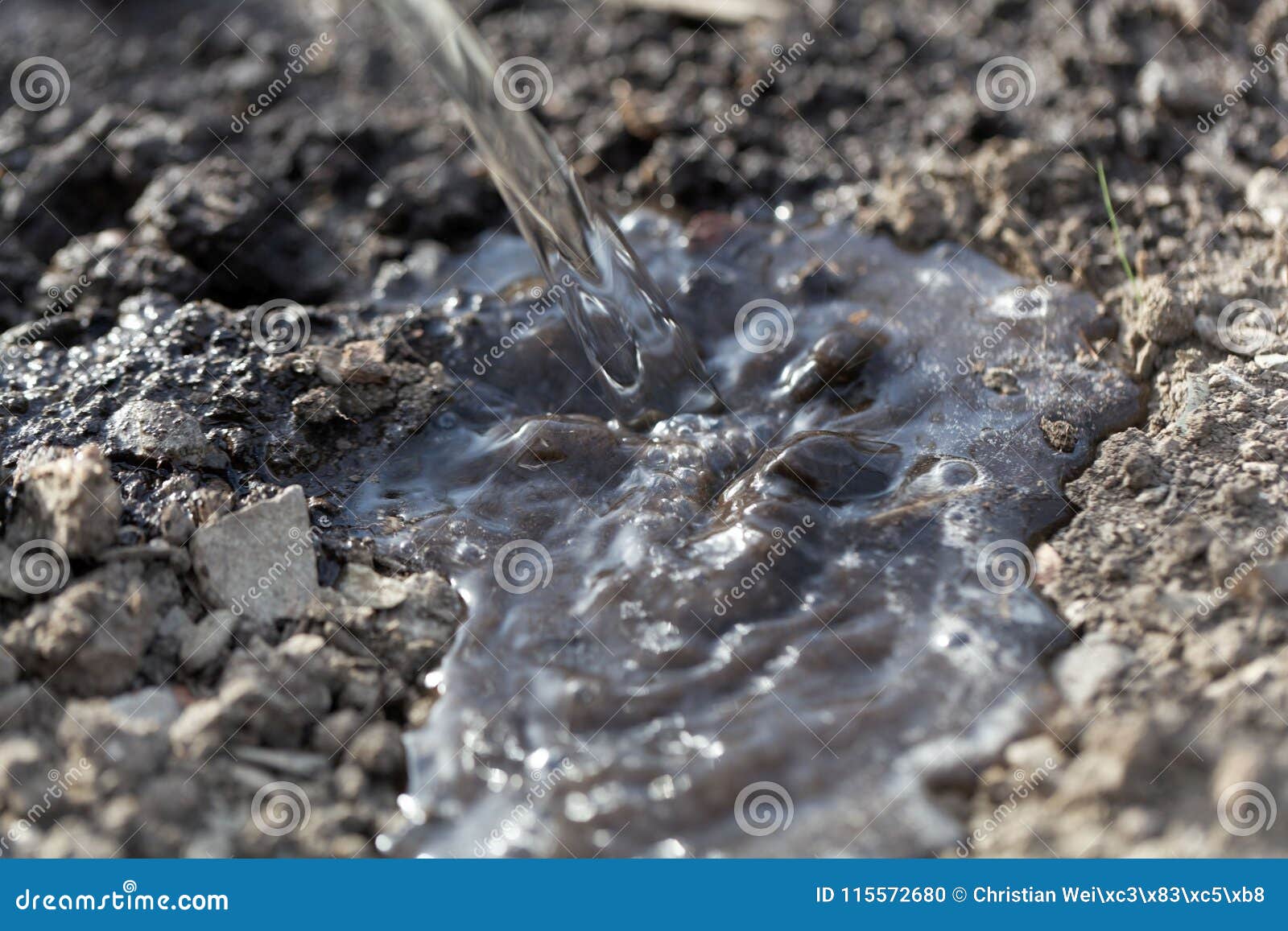 watering dark brown soil