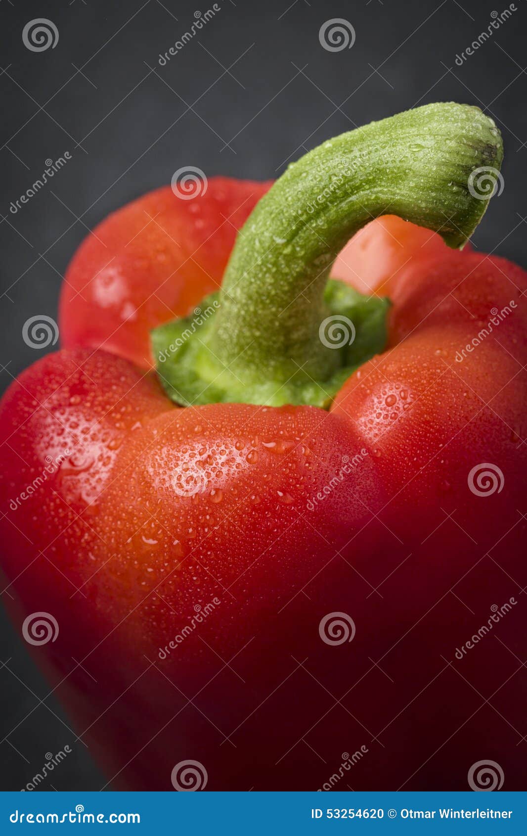 Macro of a Red Sweet Pepper. Stock Photo Image of capsicums, single