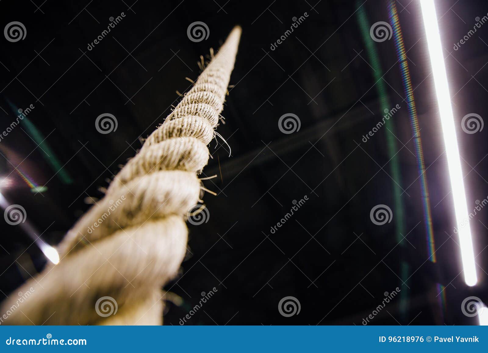 Macro Rope Hanging From The Ceiling In The Gym Motivation