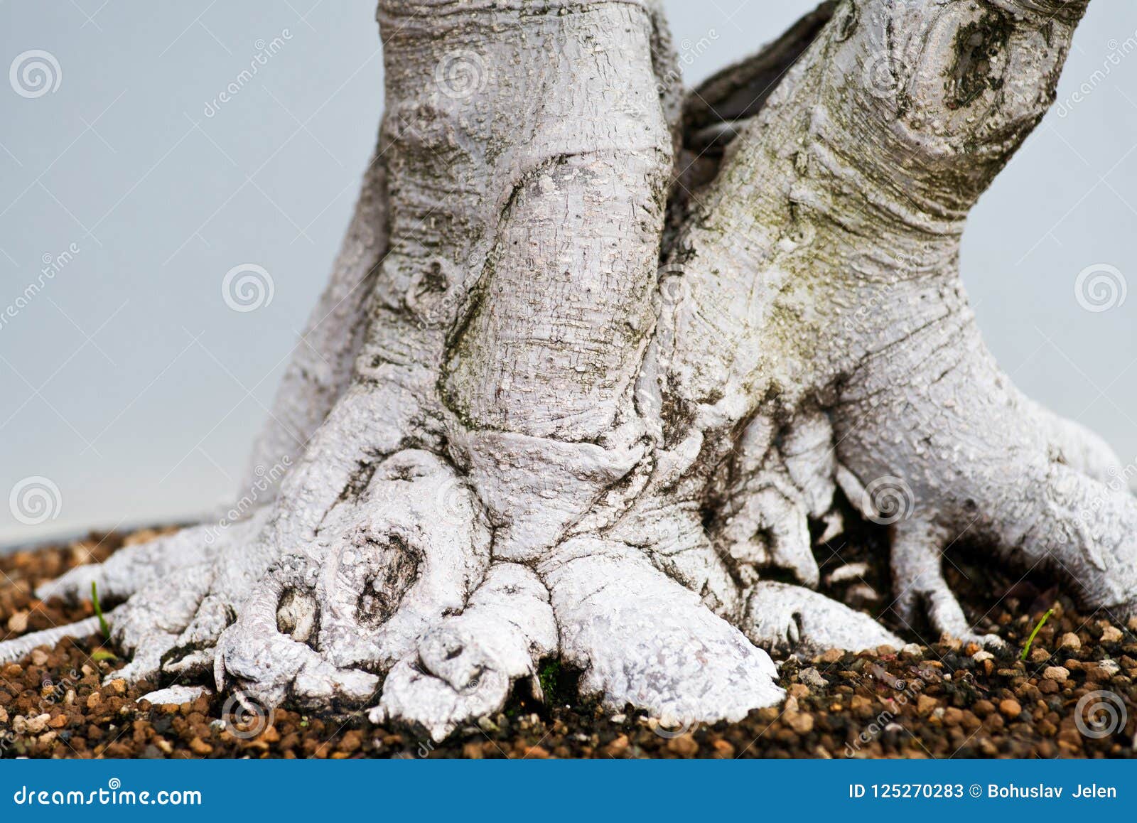 A Shot in the Bark by C.A. Newsome A Shot in the Bark by C.A. Newsome