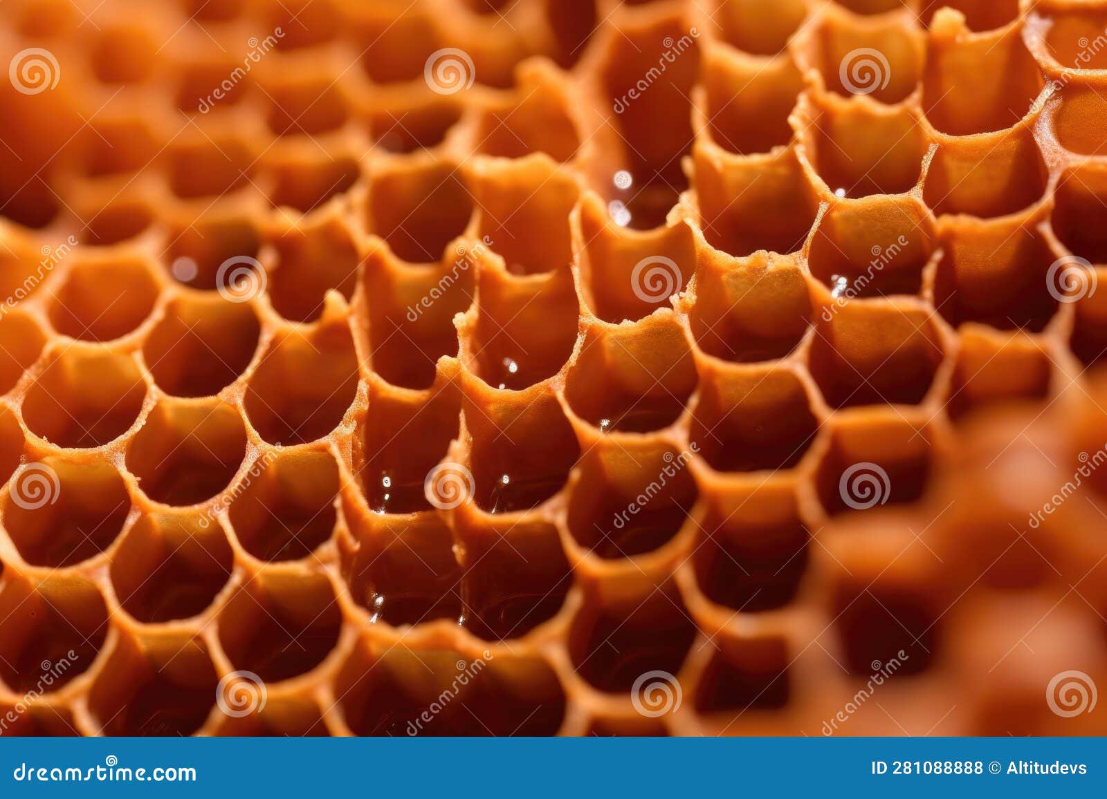 Macro Shot of Beeswax Structure in Beehive Stock Illustration
