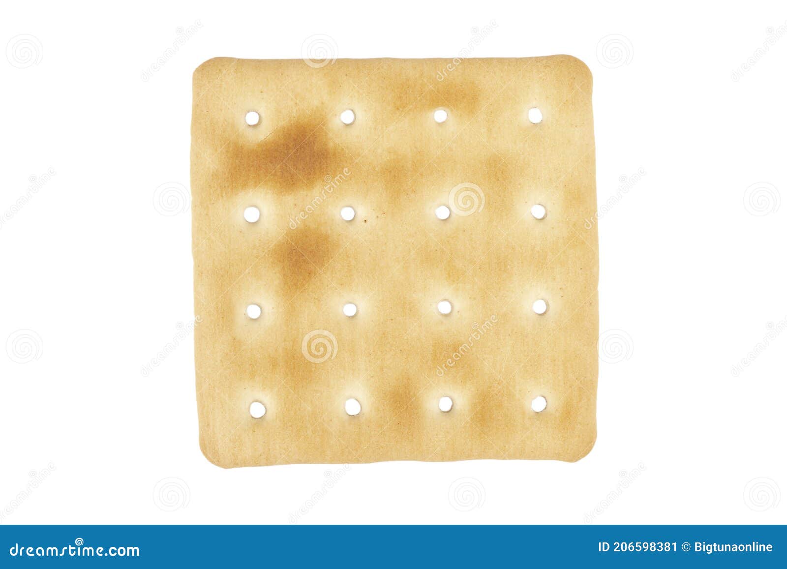 Macro Shot Biscuit Texture Background. Closeup Cookies Isolated on