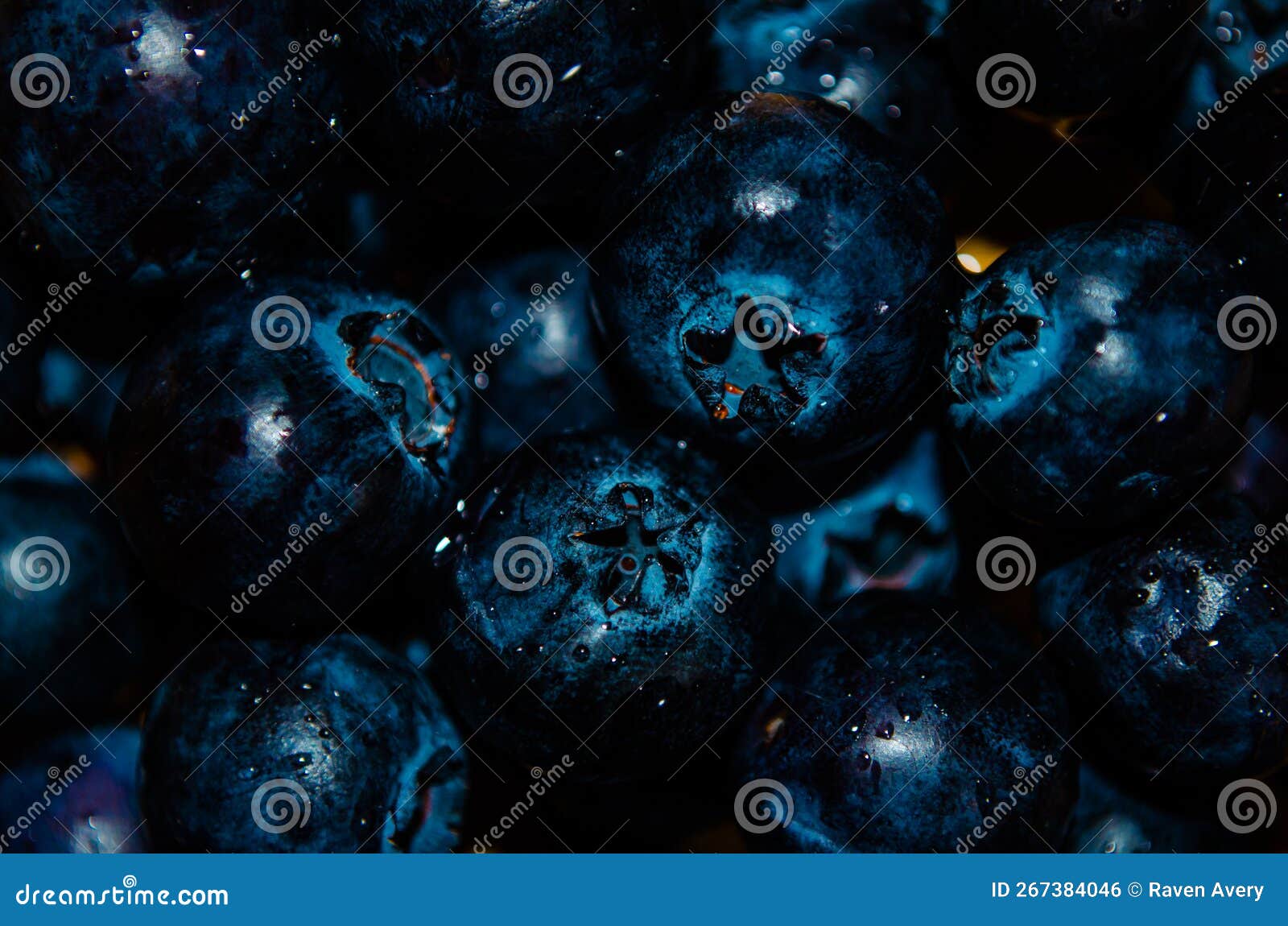 Macro Shot of a Bunch of Blueberries Stock Photo Image of night