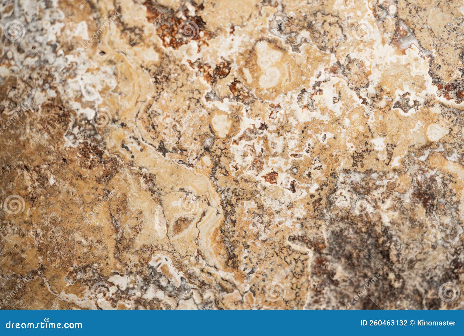 Macro Shot of Granite or Marble Stone Structure with Brown White