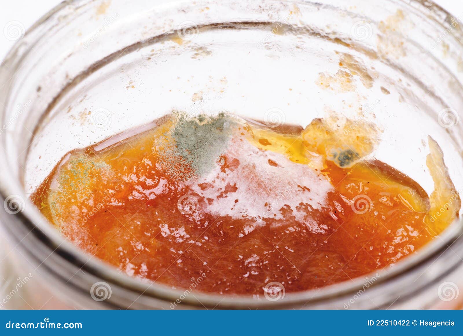 Macro Shot of Greengrey Mold Growing in Jamjar Stock Photo Image of