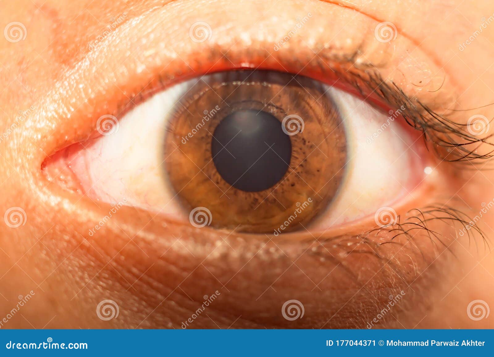 Macro Shot of Human Eye,pupil ,ratina,eye Lashes Stock Image - Image of ...