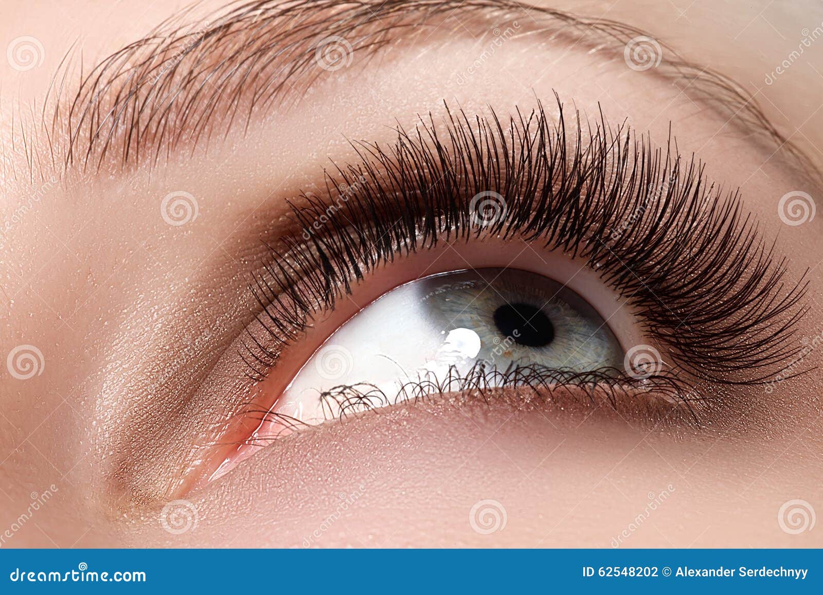macro shot of woman beautiful eye with extremely long eyelashes