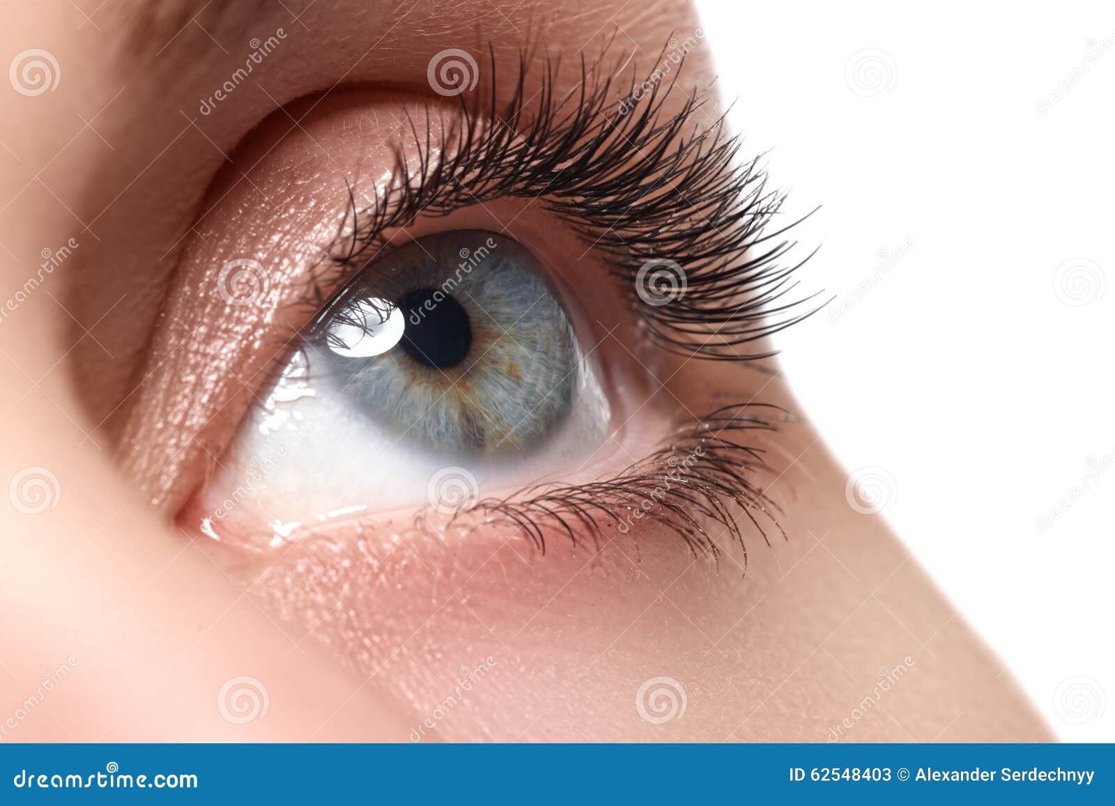 macro shot of woman's beautiful eye with extremely long eyelashes