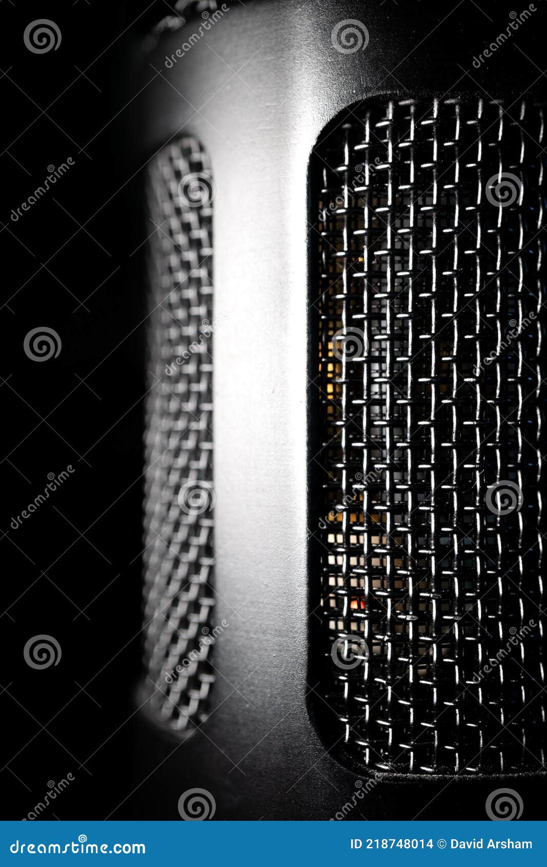 Macro Side View of Isolated Large Diaphragm Condenser Microphone Grill