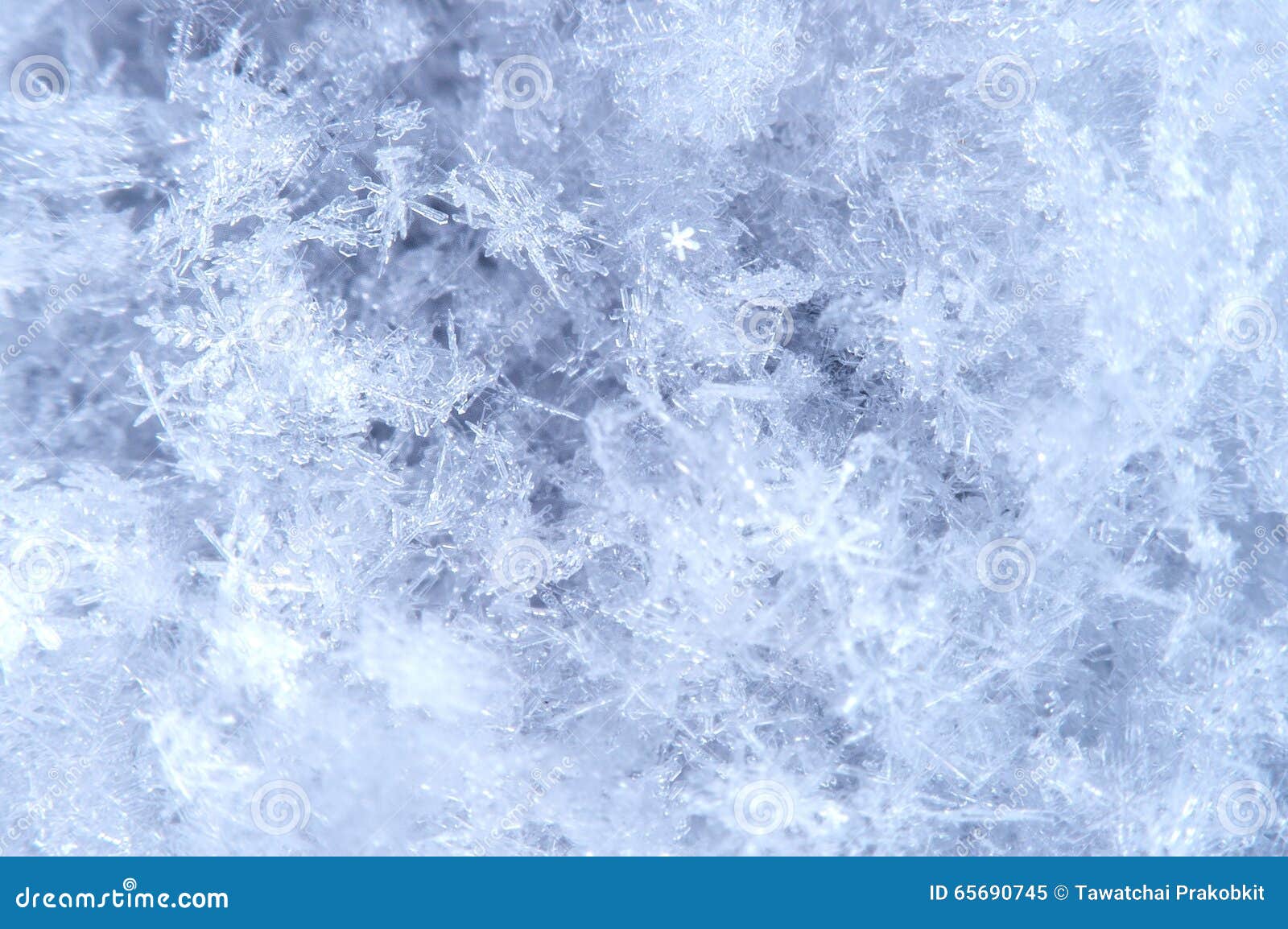 macro of snowflake in natural surroundings.