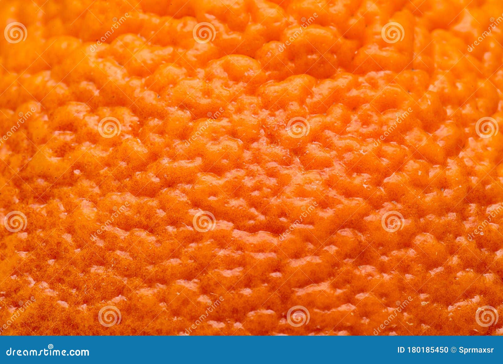 Macro View on Orange Fruit Peel Texture Background Stock Photo Image