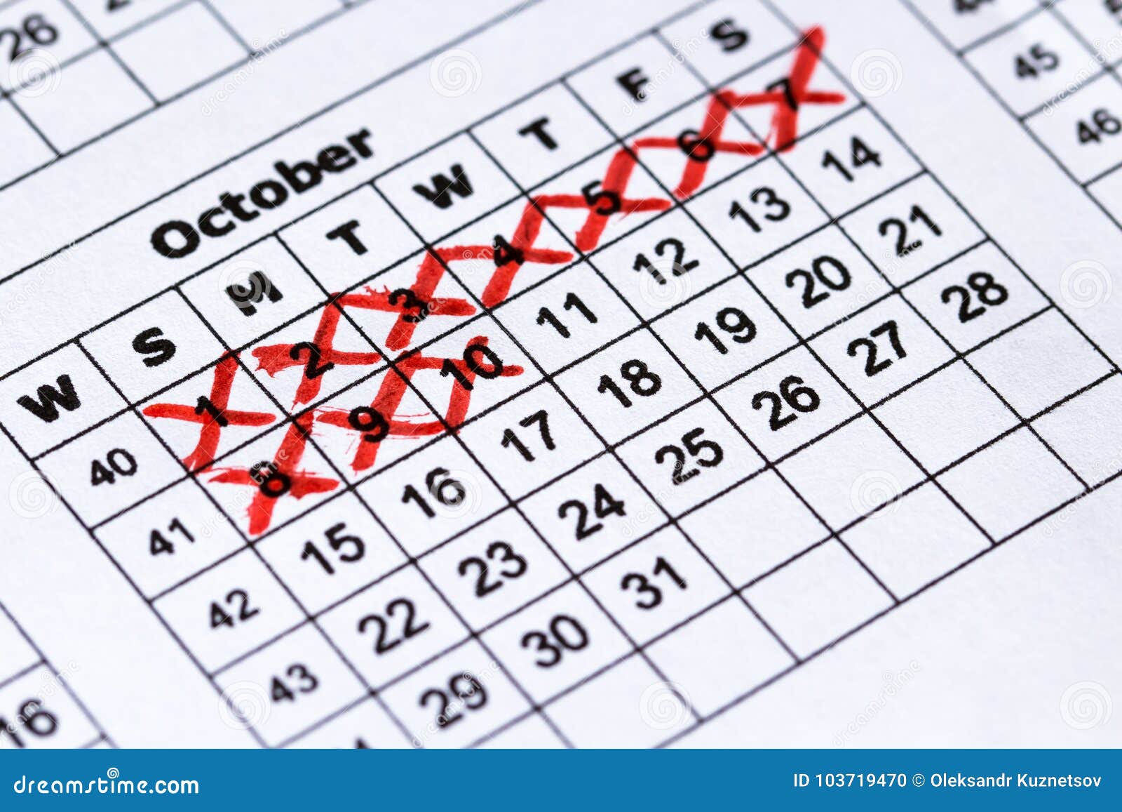 Pregnancy Calendar. Macro View Precise Calendar Stock Photo Image of