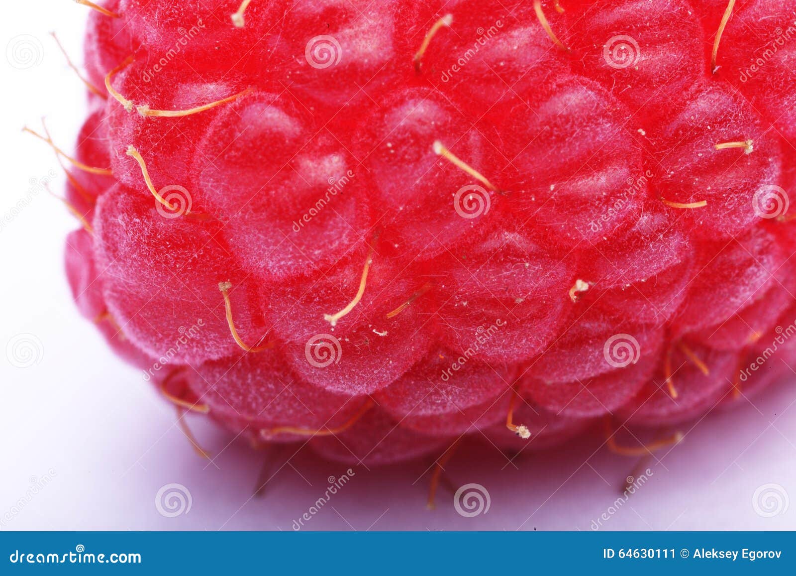 Macro view of a raspberry stock image. Image of backgrounds 64630111