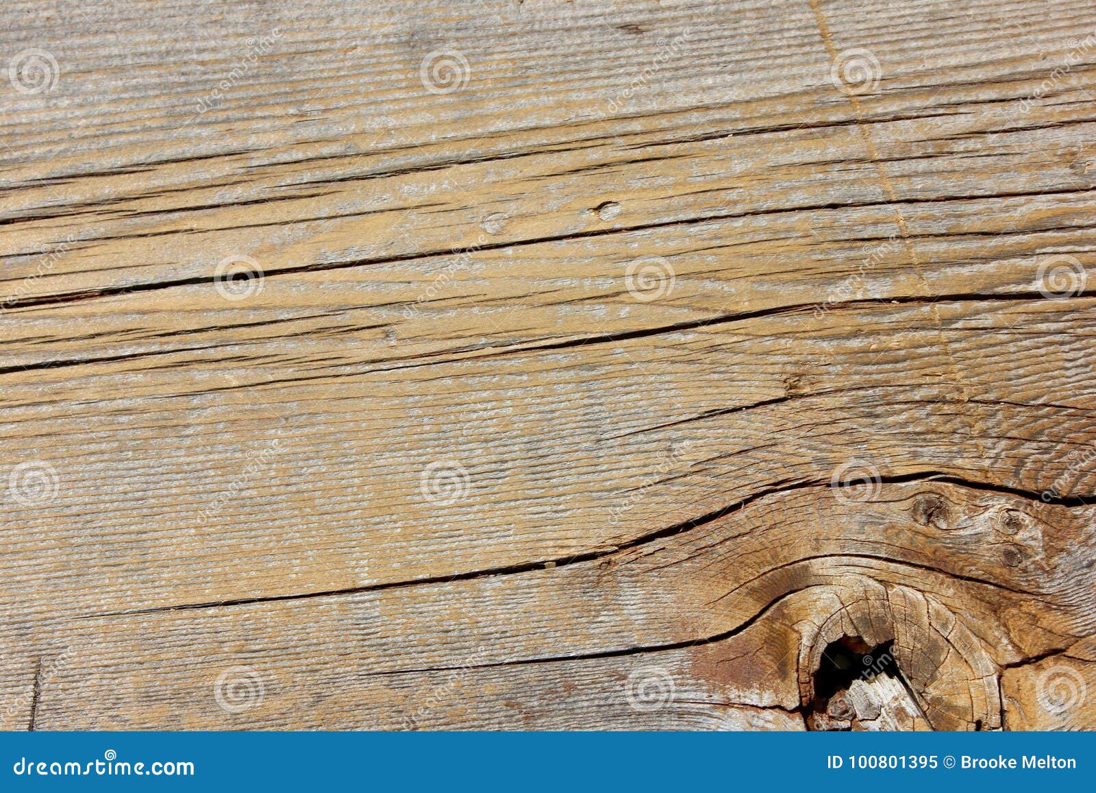 Macro Weathered Wood Grain Knot Hole Plank Texture Stock Image Image