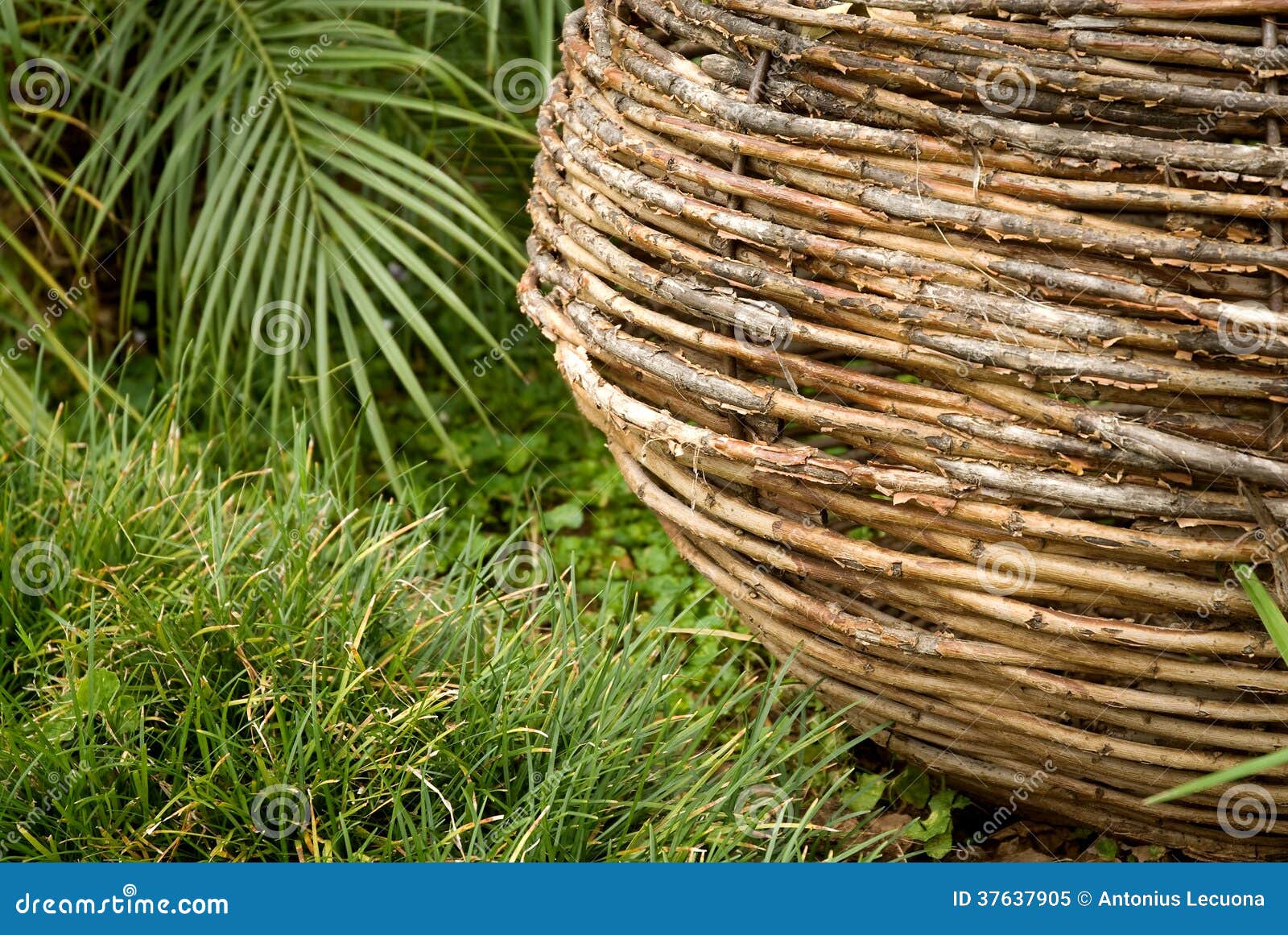 Macro of a Wicker Basket Base Stock Image Image of outdoor