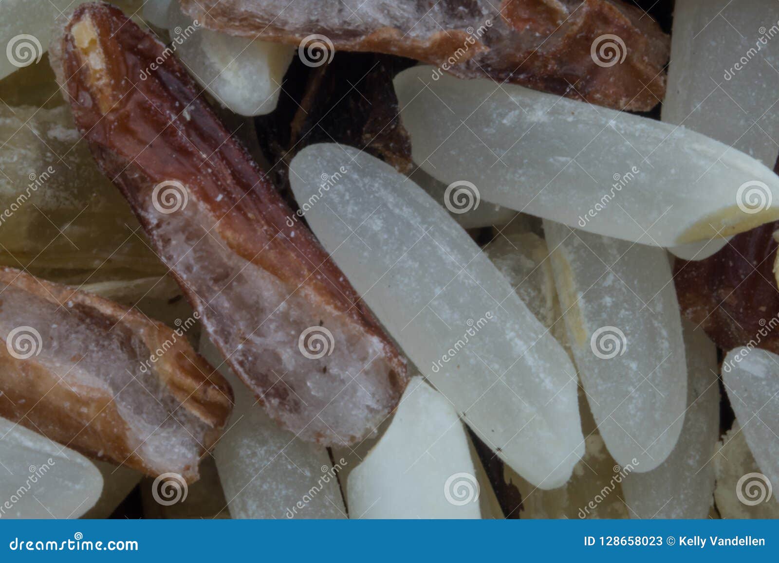 Macro of Wild Rice stock image. Image of grain, backdrop 128658023
