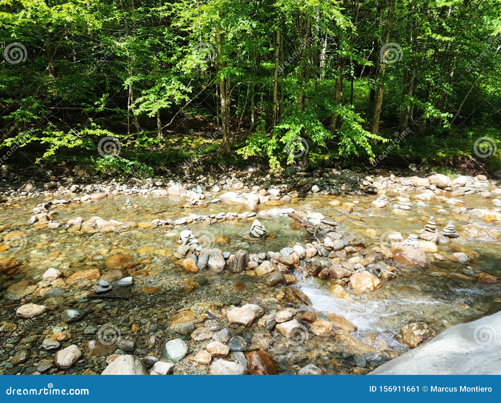 Mad River Rock Garden Stock Image Image Of Water River 156911661