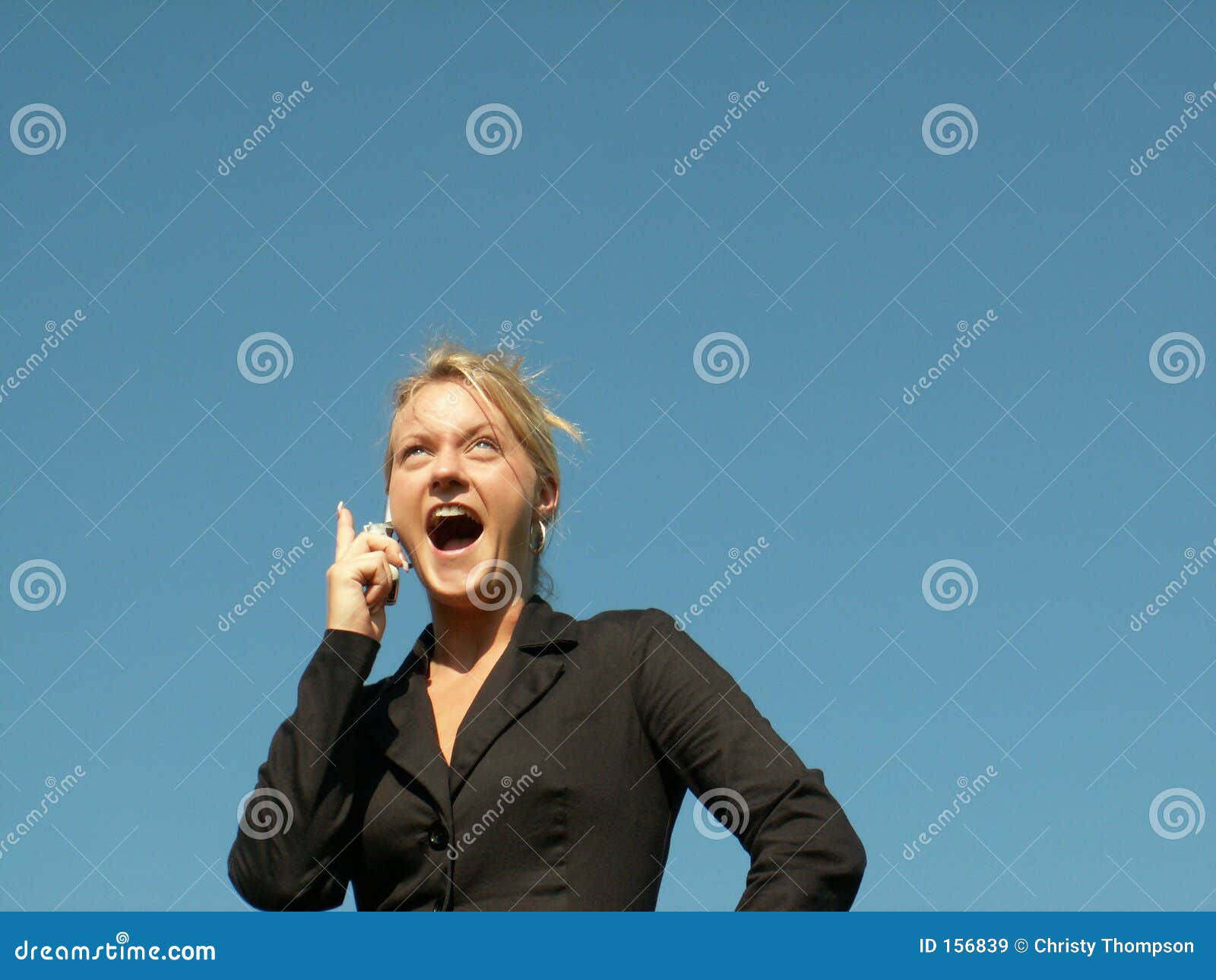 Made the sale! stock image. Image of sell, woman, female 156839