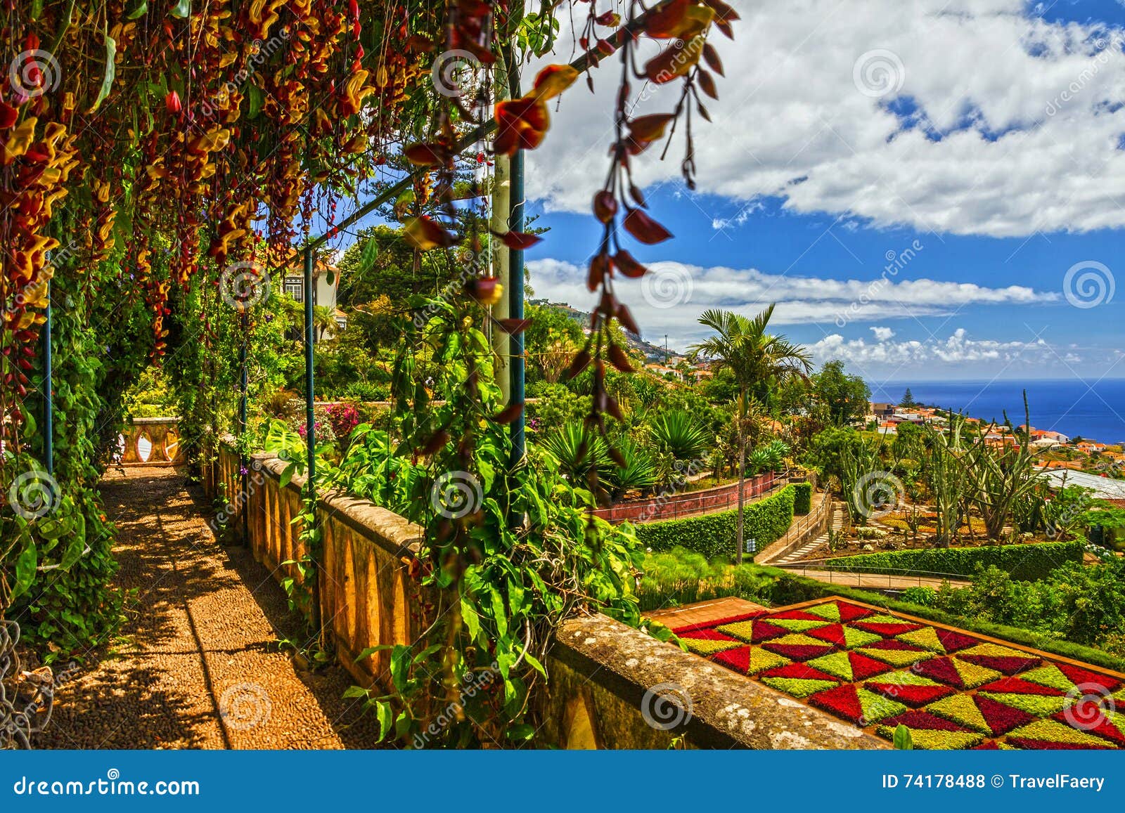 MadeiraInsel, Botanischer Garten Monte, Funchal, Portugal