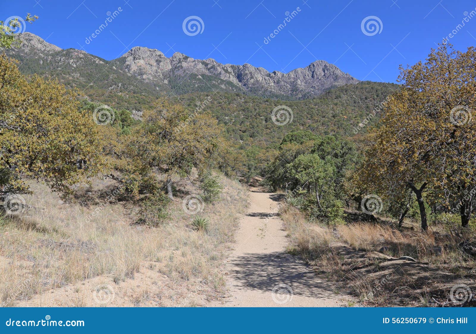 madera canyon trail