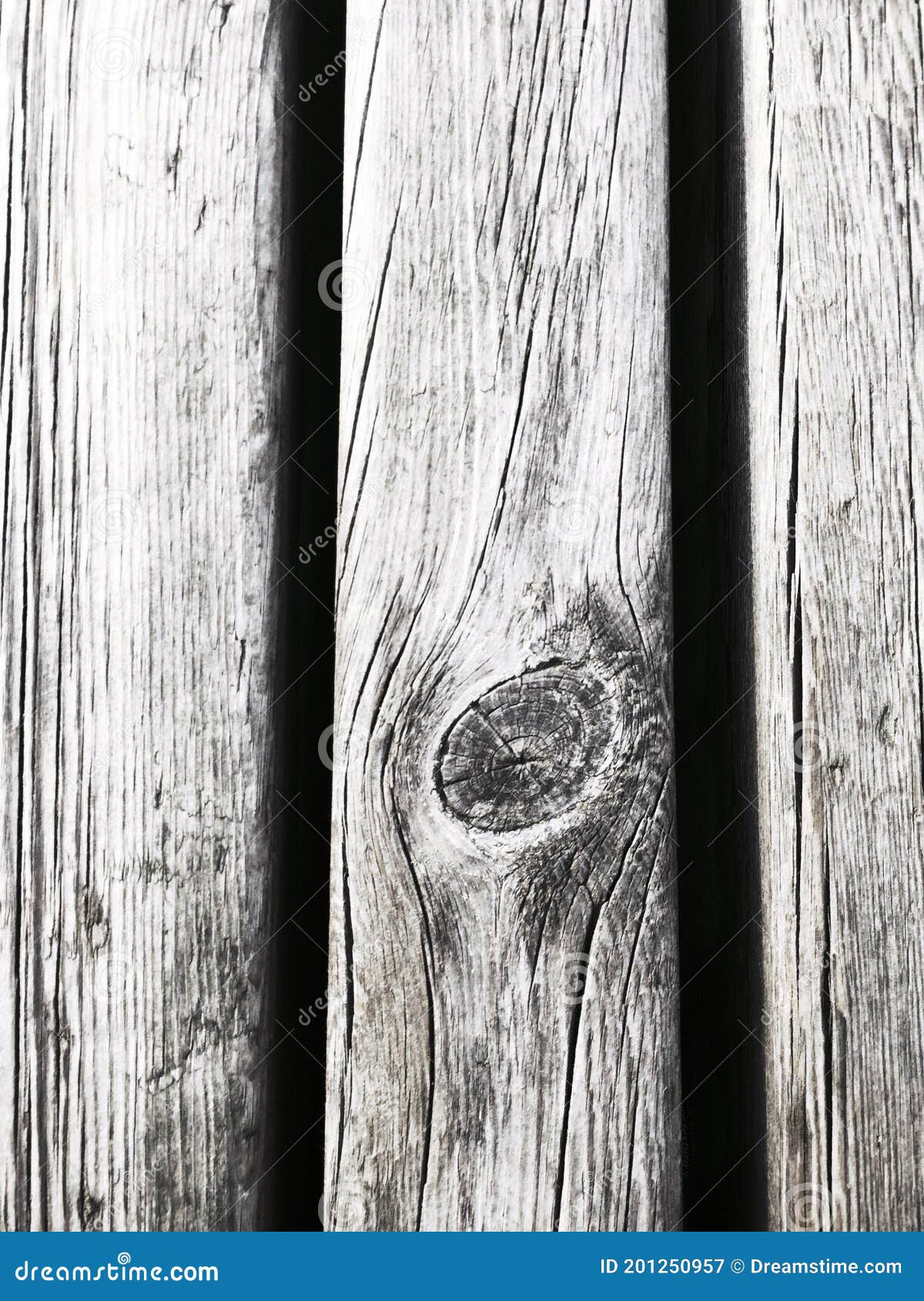 textura madera. wood texture