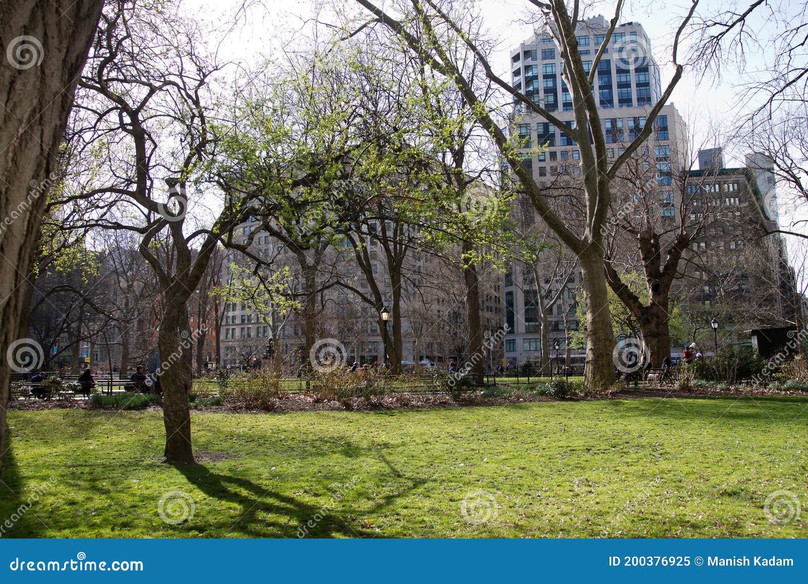 A Lush Square Foot Garden With Beans, Collard Greens, Kale And S