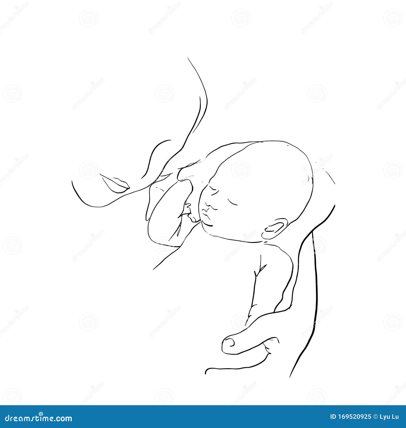 Madre Cargando A Su Bebe Durmiente Madre Feliz Dibujo Manual De Una Sola Linea Nampando A Un Recien Nacido De La Mano Ilustracion Del Vector Ilustracion De Contorno Madre Madre Cargando A Su Bebe Durmiente Madre Feliz Dibujo Manual De Una Sola Linea Nampando A Un Recien Nacido De La Mano Ilustracion Del Vector Ilustracion De Contorno Madre