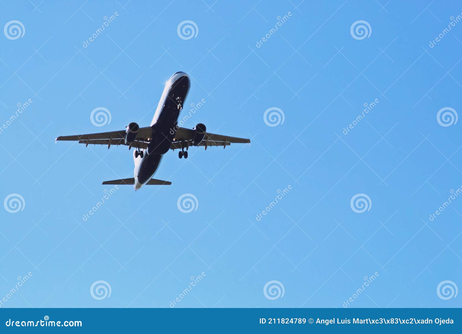 airbus plane seen from below during the landing maneuver.