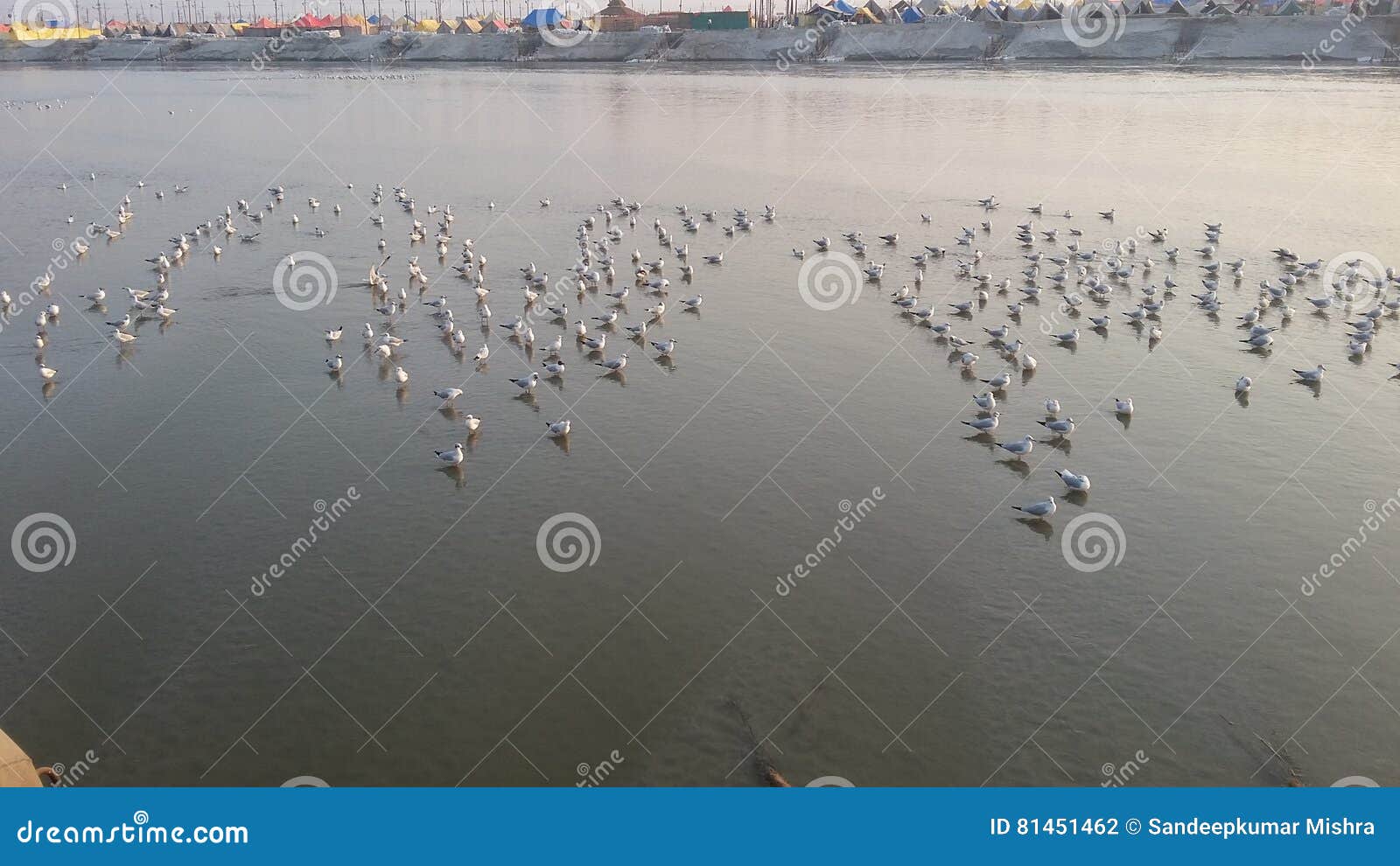 magh mela in allahabad