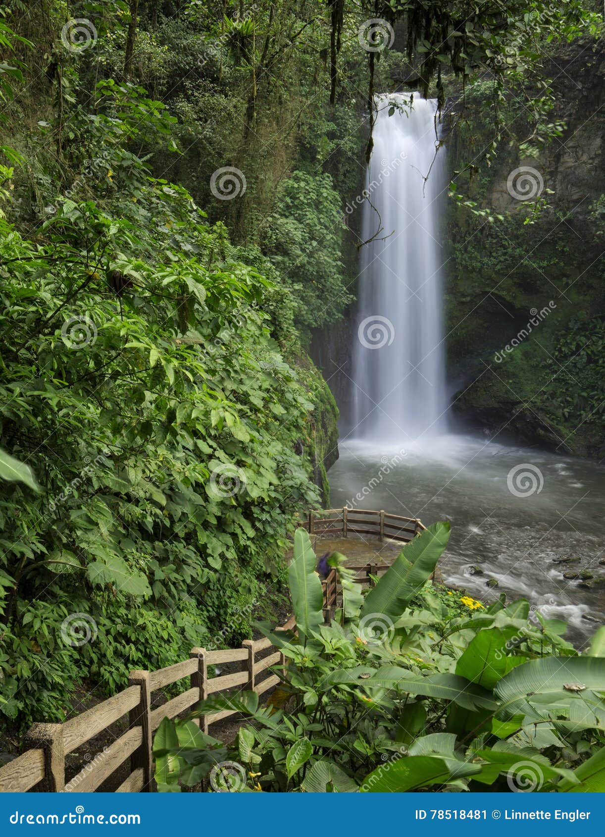 magia blanca catarata, white magic waterfall
