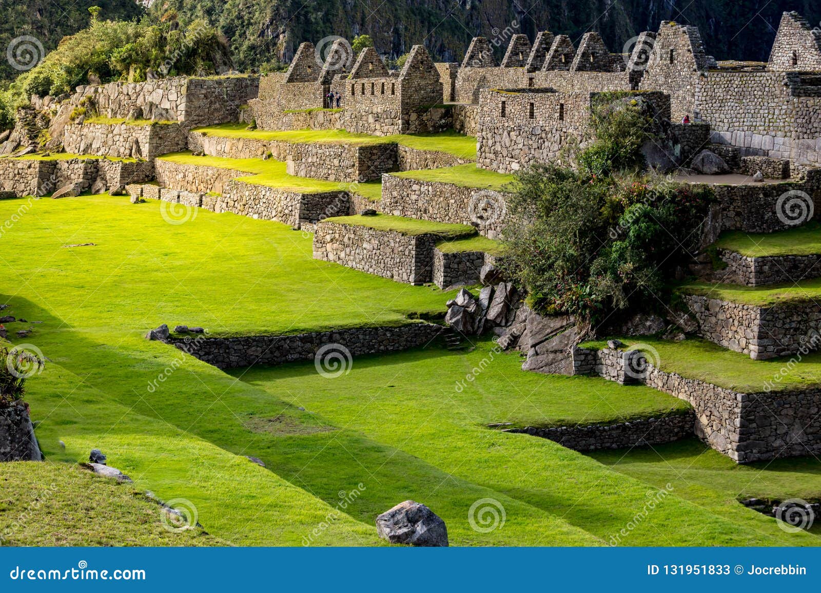 magic afternoon light touches machu picchu stone buildings