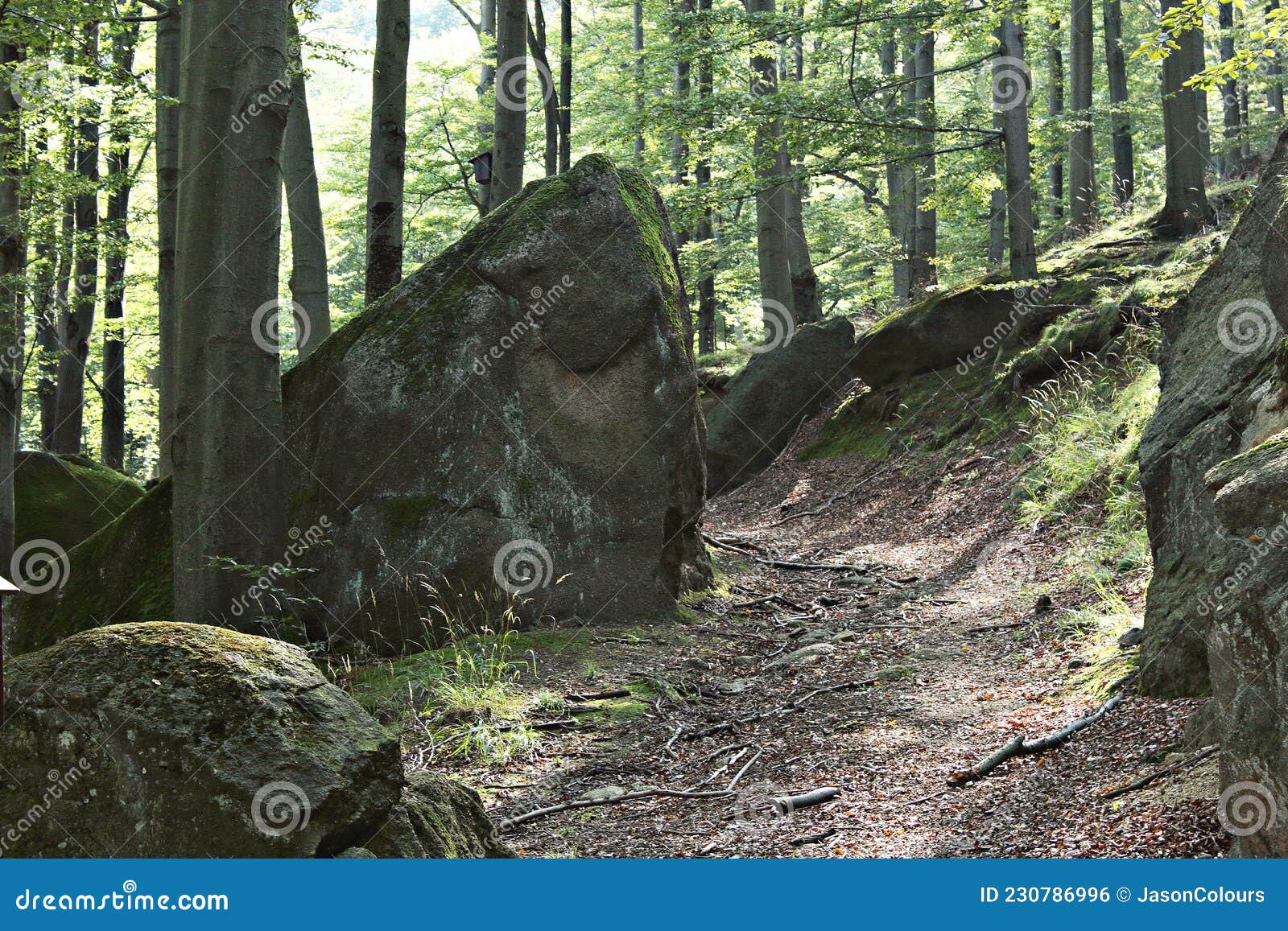 The Magical Forest: Guardians of Nature