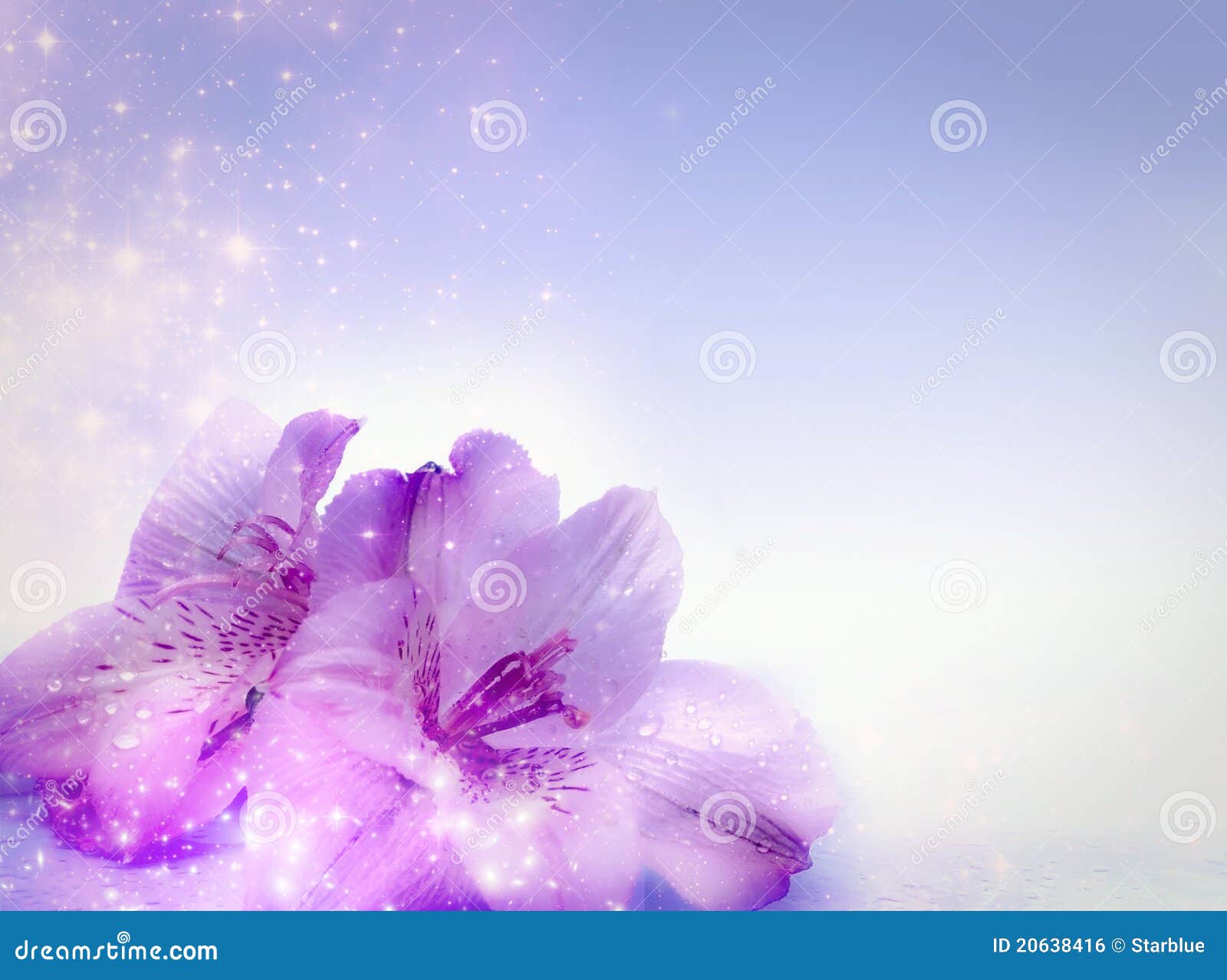 book practical magic flowers book practical magic flowers